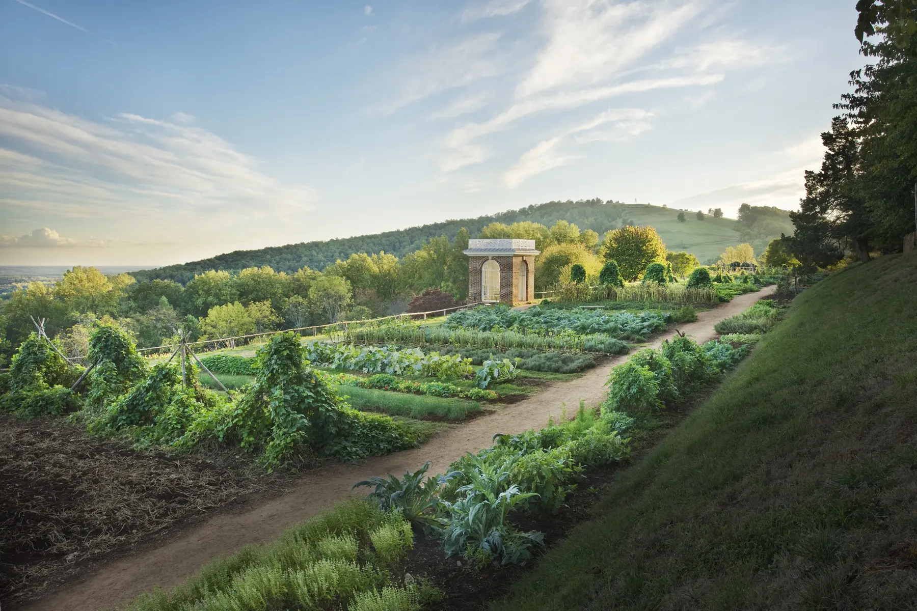 A view looking down into Monticello's vegetable garden terrace with the Garden Pavilion in the middle and Montalto in the background.#asset:19217@1:alt