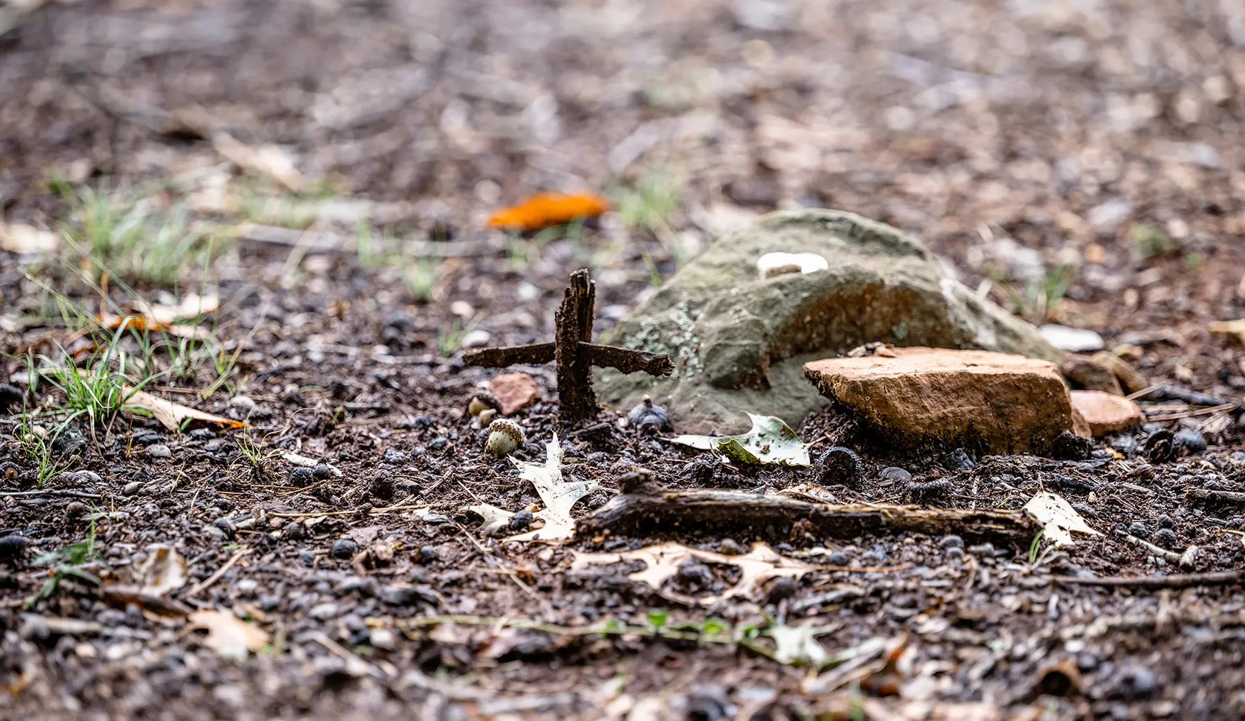 A tiny, modern-day makeshift cross stands next to a couple of stones, one of which, half buried, marks the site of one of several graves in Burial Ground for Enslaved People at Monticello.